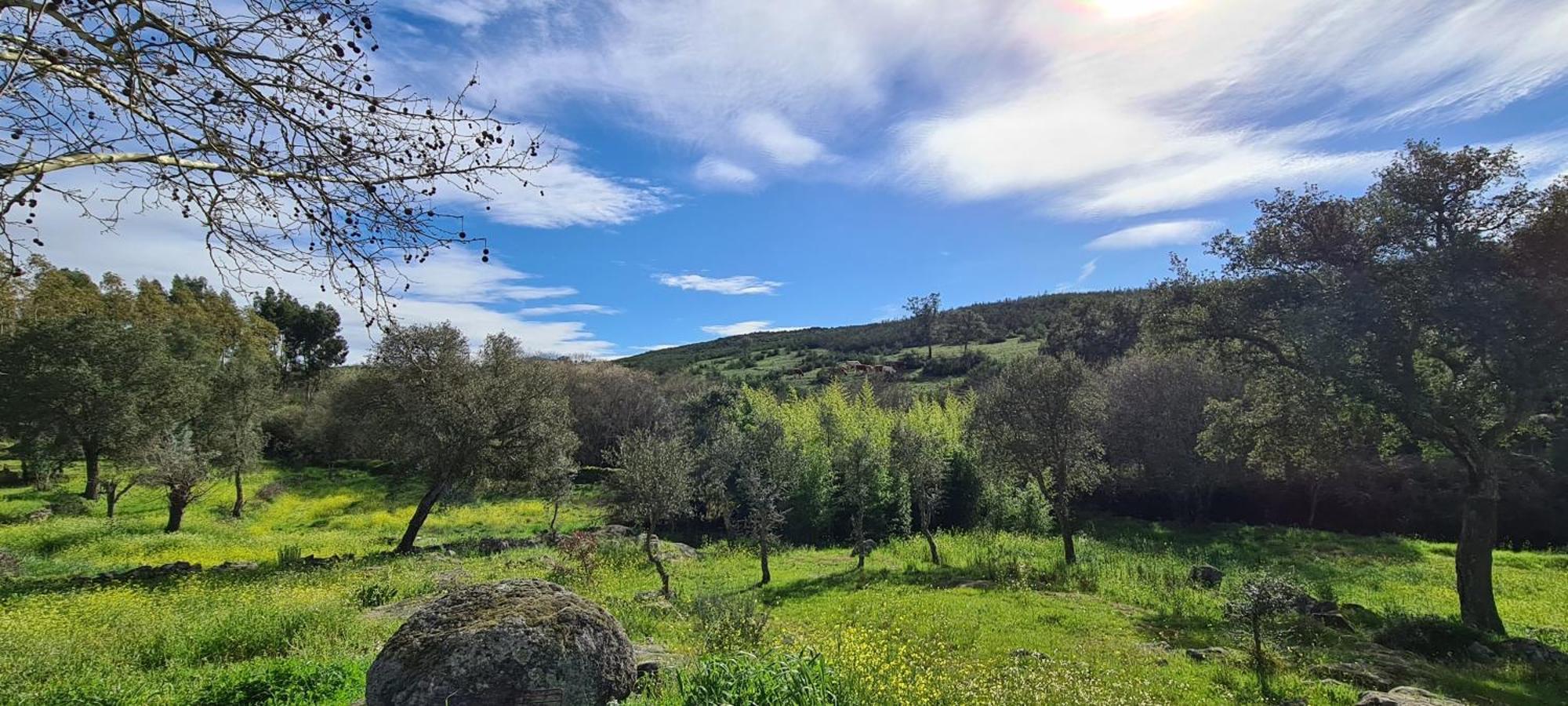 Quinta da Utopia Castelo de Vide Esterno foto